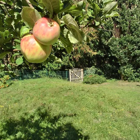 Strandstrasse 60 S12 Apartmán