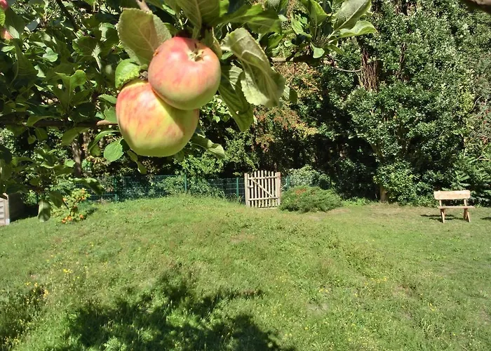 Strandstrasse 60 S12 Lägenhet